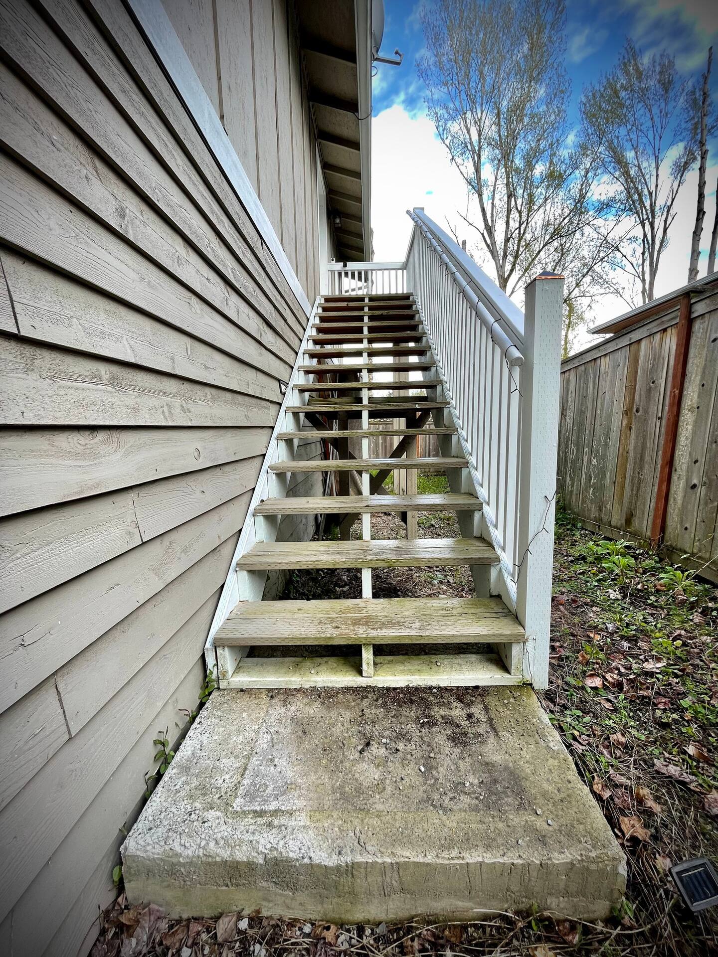 Kennydale Guest Suite (Upstairs) — photo 15